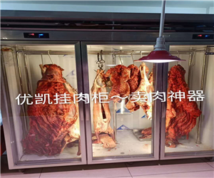 西安牛羊肉冷藏挂肉柜案例