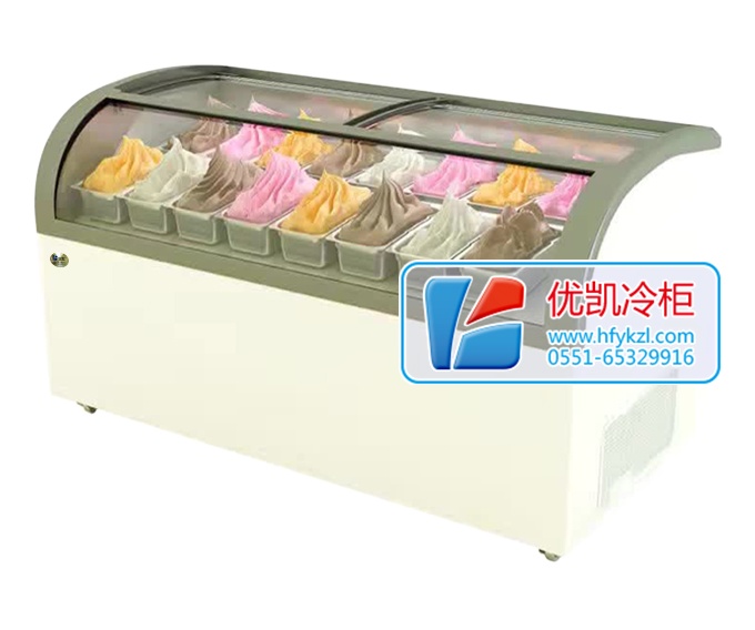 17BQ-B2经济节能型淇淋展示柜