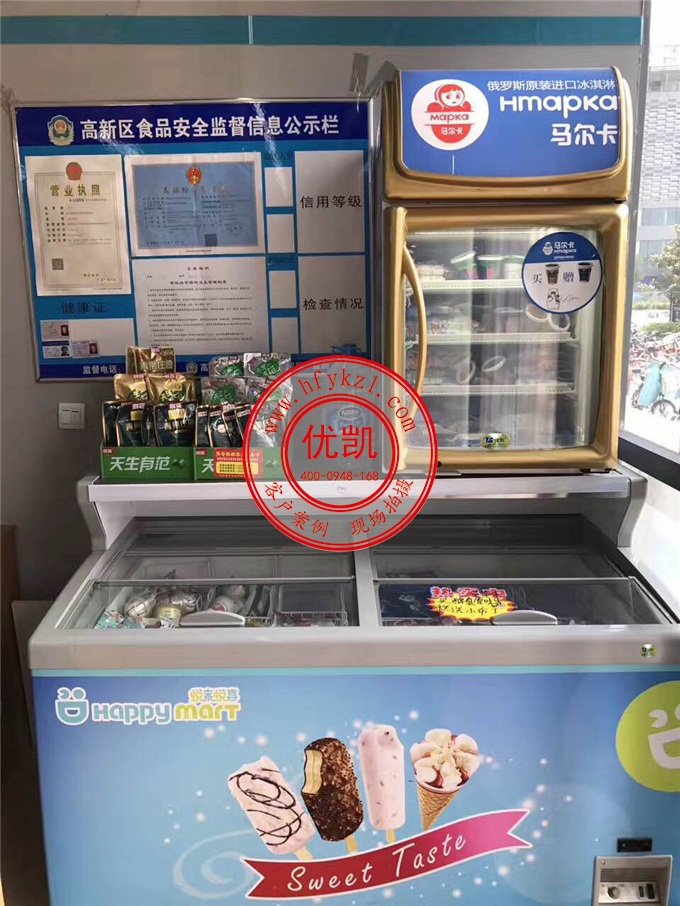 17YK-420T冰淇淋展示柜