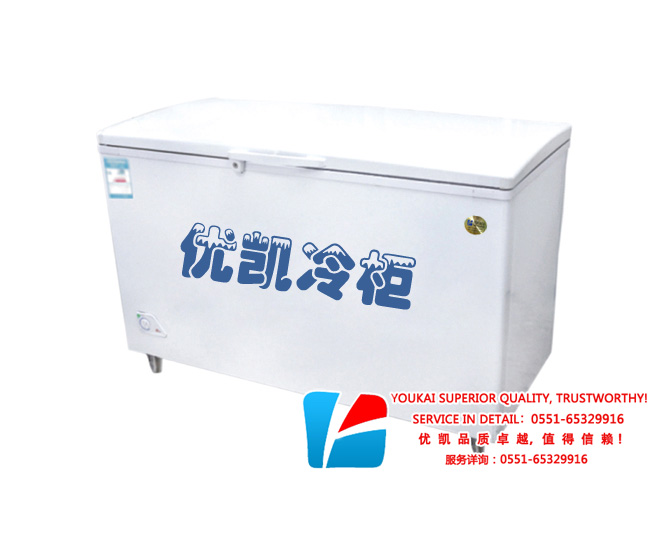 bc_bd399-429型冷柜