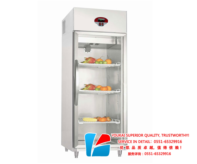 大单门厨房冰箱