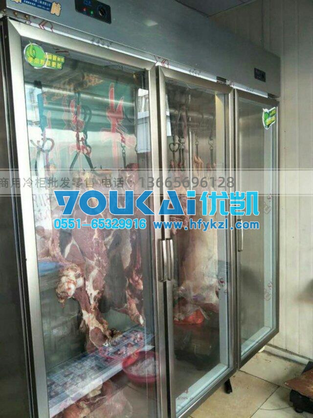 广州挂肉柜（玻璃门冷藏保鲜展示钢架结构不变形）案例