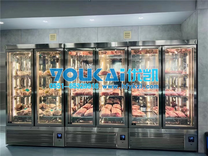 新款高档牛肉冷藏柜