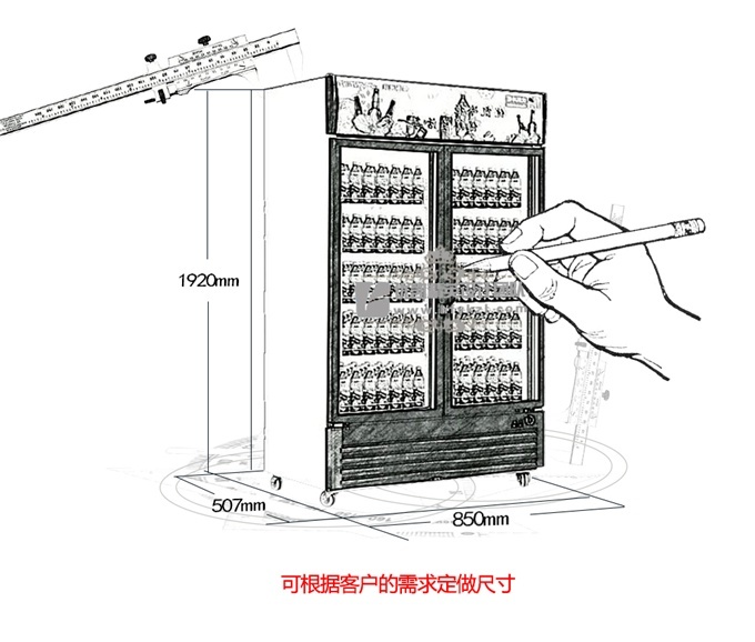 BL-B1双门直冷陈列柜/饮料柜（畅销产品）