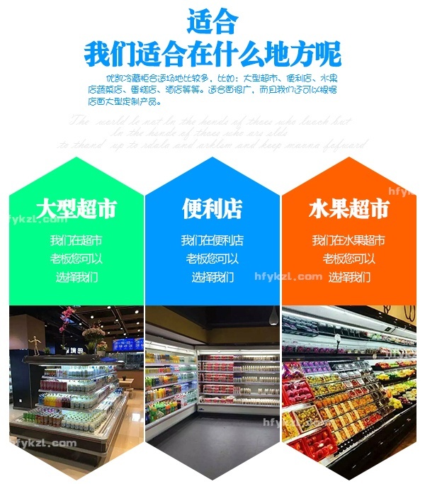 带门LF-DB饮料风幕柜-分类页面